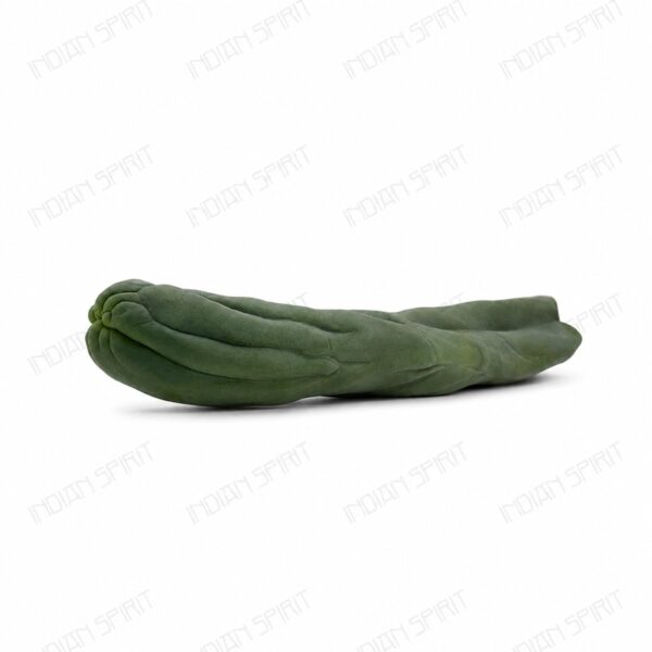 Indian Spirit - Cactus - Penis Cactus - 1 pc. (+/- 30 cm.)